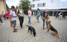 Фото 22: У Львові відомі спортсмени допомагали безпритульним тваринам