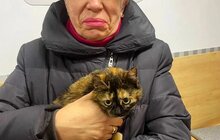 Фото 10: Понад 20 тварин із ЛКП «Лев» знайшли дім у лютому