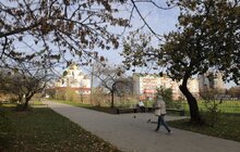 Фото 9: На вул. Кульчицької, 18 залишиться сквер: рішення суду