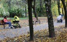 Фото 40: У Львові комплексно ремонтують парки: роботи тривають на низці об'єктів