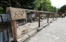 Фото 29: «Ми хочемо збудувати ще один еколого-натуралістичний центр в частині Снопківського парку», — А. Садовий