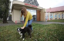 Фото 1: ЛКП «Лев» прилаштувало за 3 роки 2 тис тварин