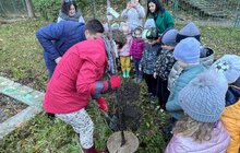 Фото 2: В межах Тижня сталої енергії дошкільнята Львова садили дерева