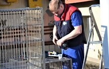 Фото 7: ЛКП «Лев» відновило свою роботу в повному обсязі після двотижневого карантину