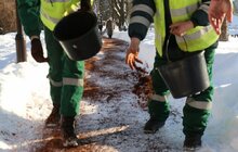 Фото 8: У парку «700-річчя Львова» продовжують посипати доріжки кавовою гущею для боротьби з ожеледицею
