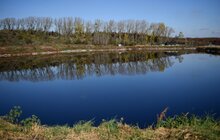 Фото 9: Підготовчі роботи на полігоні ТПВ в с. Великі Грибовичі напередодні рекультивації