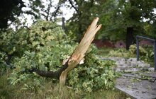 Фото 25: Аварійні бригади оперативно ліквідовують наслідки негоди в місті