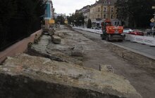 Фото 7: Біля Органного залу сьогодні зрізають ялинки, на їх місці висадять 15 нових дерев