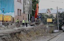 Фото 9: Біля Органного залу сьогодні зрізають ялинки, на їх місці висадять 15 нових дерев