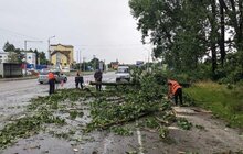 Фото 7: У Львові ліквідовують наслідки негоди