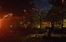 Фото 2: «Формула Пам’яті»: у парку Франка представили світлову артінсталяцію на честь Івана Вакарчука (фото/відео)