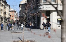Фото 2: У Львові висадять понад 500 дерев та кущів (відео)