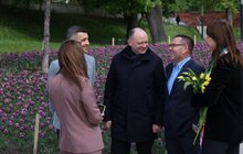 Фото 6: 200 тисяч тюльпанів Нідерланди вже подарували Львову