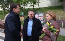 Фото 15: 200 тисяч тюльпанів Нідерланди вже подарували Львову