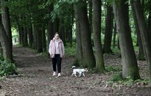 Фото 4: У парку ім. Івана Павла ІІ облаштують майданчик для вигулу собак