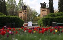 Фото 12: У Львові розпочали ексгумацію радянських поховань із Пагорба Слави (відео)
