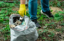 Фото 7: В межах Всесвітного дня прибирання у Львові зібрали 16 тонн сміття