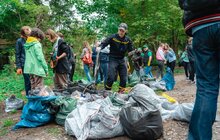 Фото 8: В межах Всесвітного дня прибирання у Львові зібрали 16 тонн сміття