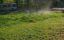 Фото 36: Комунальні служби продовжують миття міста