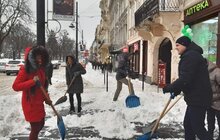Фото 8: Працівники Львівської мерії долучились до прибирання міста від снігу