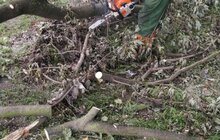 Фото 28: «Комунальні служби продовжують ліквідовувати наслідки негоди, вихідні плануємо оголосити робочими днями», - І. Маруняк