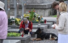 Фото 1: На Личаківському кладовищі помолилися за полеглих Захисників і Захисниць України (фото)