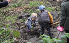 Фото 22: Сьогодні в одному із парків Львова висадили понад 400 дерев