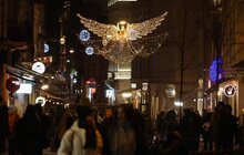 Фото 8: До Львова привезли головну ялинку міста
