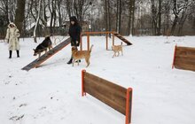 Фото 2: У Львові облаштували ще один тренувально-вигульний майданчик для собак