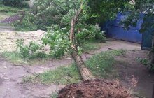 Фото 6: Наслідки негоди комунальні служби ліквідовують сьогодні, працюватимуть й завтра