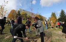 Фото 18: У Львові біля лікарні швидкої медичної допомоги висадили «Сад Здоров’я»