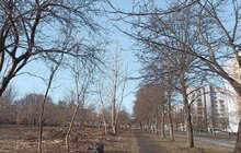 Фото 2: У Шевченківському районі Львова буде новий парк з озером