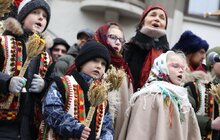 Фото 10: У Львові встановили головного Дідуха міста