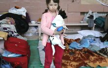 Фото 6: Львів уже прийняв тисячі вимушено переміщених осіб: про що вони говорять, живучи тепер ось так