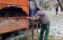 Фото 3: 120 спонсорських дерев та понад 10 кущів: у Львові триває висадка в рамках акції «Хочу посадити дерево»
