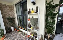 Фото 8: У Львові нагородили власників найгарніших квітучих балконів та підвіконь