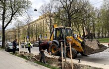 Фото 3: На вулиці Степана Бандери висаджують дерева