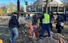 Фото 3: 11 дерев у пам’ять про захисників висадили на вул. Городоцькій