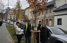 Фото 6: Понад 60 нових дерев висадили в Залізничному районі Львова