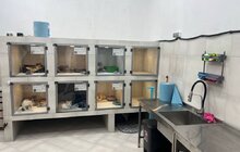 Фото 5: У Домівці врятованих тварин з’явився котобудиночок