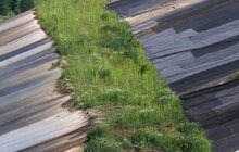 Фото 4: Грибовицький полігон вкривають ґрунтом: до кінця року тут можна буде зіграти в гольф (відео)
