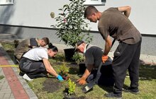 Фото 1: Більше сотні рослин висадили волонтери навколо Лікарні святого Луки