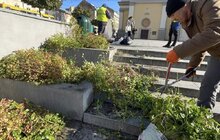 Фото 10: Санітарна обрізка, догляд та пересадка рослин: на площі Митній упорядкували клумби
