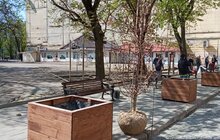 Фото 12: На вул. Л. Українки відремонтували тротуар та висаджують клени