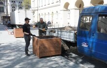Фото 15: На вул. Л. Українки відремонтували тротуар та висаджують клени