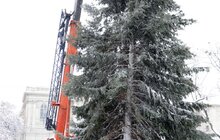 Фото 2: На площі перед Оперним театром встановили головну ялинку міста