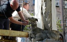 Фото 7: Скульптури у центрі Львова одягнули у вишиванки