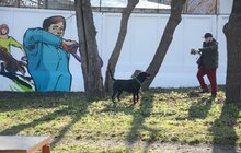 Фото 25: ЛКП «Лев» облаштувало тренувально-вигульний майданчик на вул. Промисловій