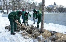 Фото 26: На Меморіалі пам’яті Героїв Небесної Сотні висадили сосни
