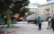 Фото 4: До Львова привезли головну ялинку міста
